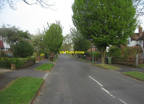 Photo 6"x4" Looking down Empress Avenue Farnborough\/SU8754 c2015