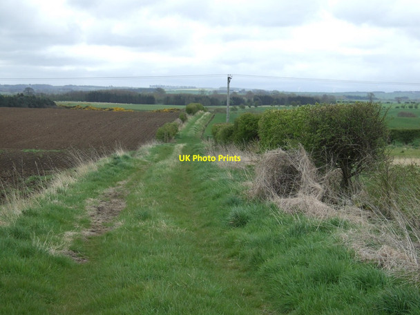 Photo 6"x4" Footpath towards Ancroft North Farm Ancroft c2015