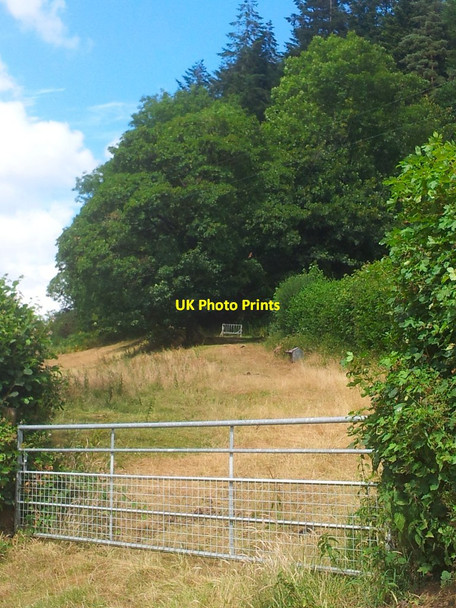 Photo 6"x4" Dan Allt Enoch yn yr Haf Llanfynydd\/SN5527 c2013