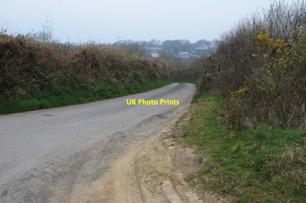 Photo 6"x4" Road to Cabbacott Buckland Brewer c2015