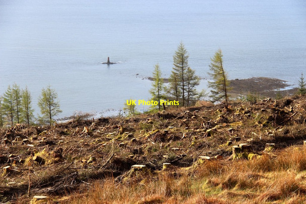 Photo 6"x4" Clearfell on Innellan Hill Innellan c2015