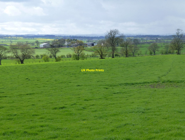 Photo 6"x4" Lush pasture after heavy rain Saltwick\/NZ1780 c2015