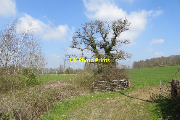 Photo 6"x4" Playing fields, Sherborne Sherborne\/ST6316 c2015