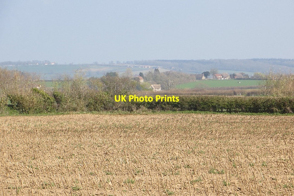 Photo 6"x4" Maize stubble Sherborne\/ST6316 c2015
