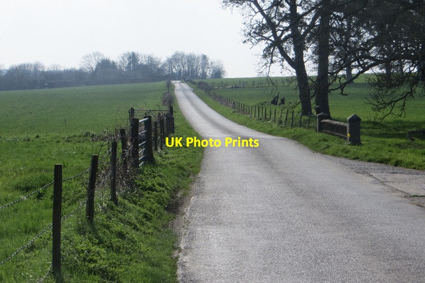 Photo 6"x4" Holnest Park Holnest c2015