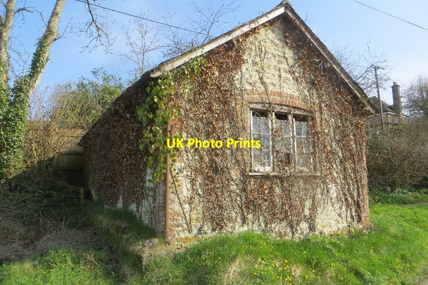 Photo 6"x4" Overgrown building, Lyon's Gate Lyon's Gate c2015