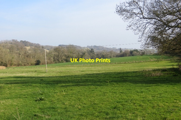 Photo 6"x4" Field, Minterne Magna Minterne Magna c2015