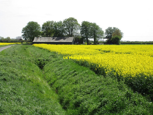 Photo 6"x4" Shed near Bank House Farm, Ruskington Fen Anwick c2015