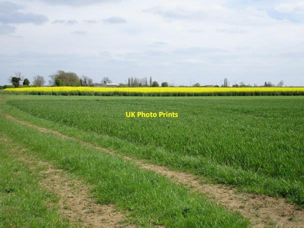 Photo 6"x4" Little Hale Fen and Car Dyke Farm Little Hale\/TF1441 c2015