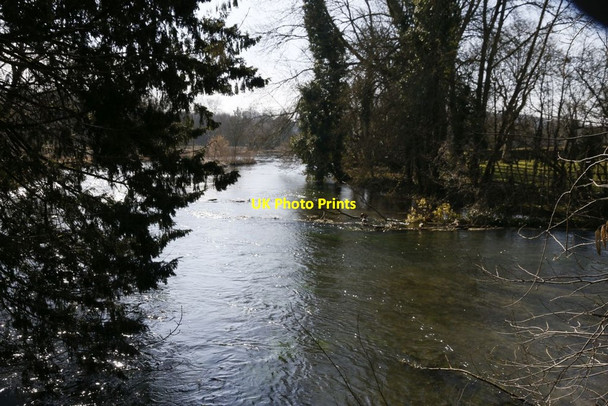 Photo 6"x4" The River Itchen Avington\/SU5332 c2015