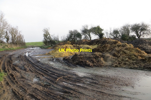 Photo 6"x4" Mixen, Batcombe Hill Batcombe\/ST6104 c2015