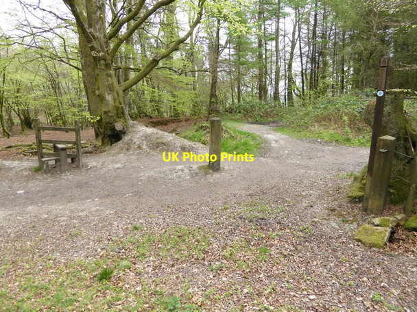 Photo 6"x4" Channel to Channel (259) Feltham\/ST2317 c2015
