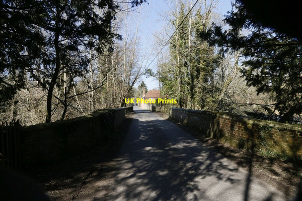 Photo 6"x4" Road into Itchen Abbas Avington\/SU5332 c2015