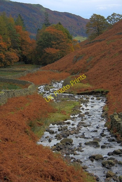 Photo 6"x4" Green Burn Town Head\/NY3309 c2008