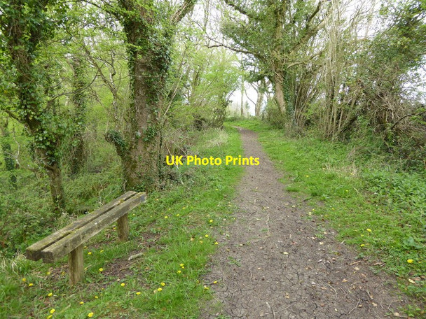 Photo 6"x4" Channel to Channel (278) Feltham\/ST2317 c2015