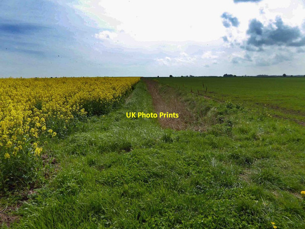 Photo 6"x4" Melholme Fen Alvingham c2015