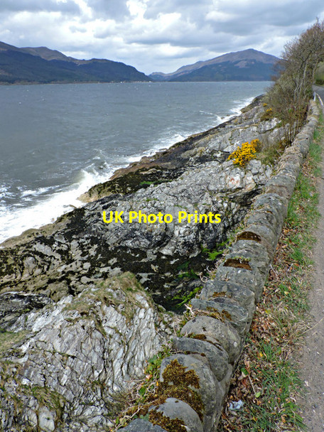 Photo 6"x4" Loch Long by Shore Road Cove\/NS2282 c2015