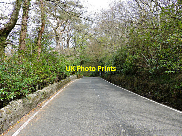 Photo 6"x4" Shore Road Ardpeaton c2015