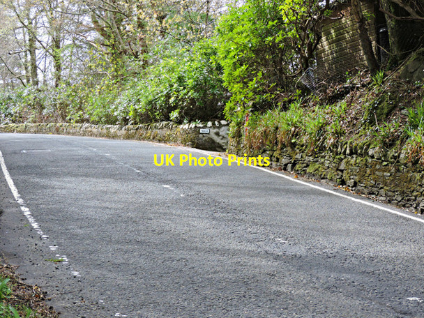 Photo 6"x4" Shore Road Ardpeaton c2015