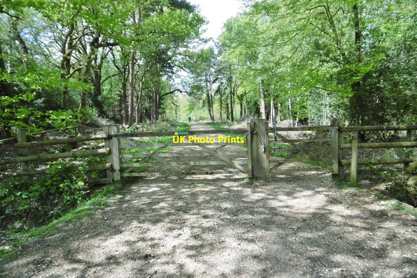Photo 6"x4" Wootton Coppice Inclosure, gates Mead End\/SZ2698 c2015