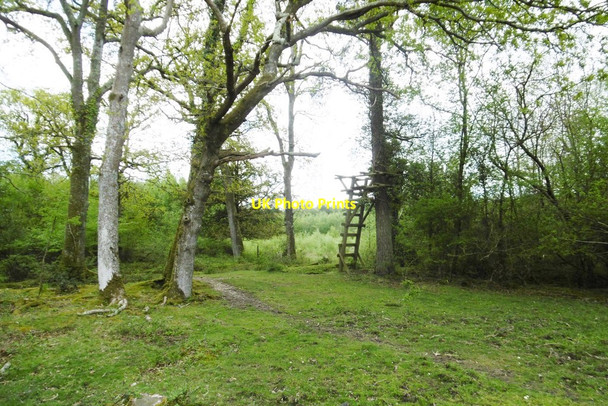 Photo 6"x4" Wootton, high seat Wootton\/SZ2498 c2015