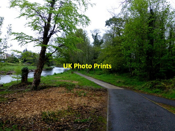 Photo 6"x4" Tree clearance, Cranny Omagh c2015