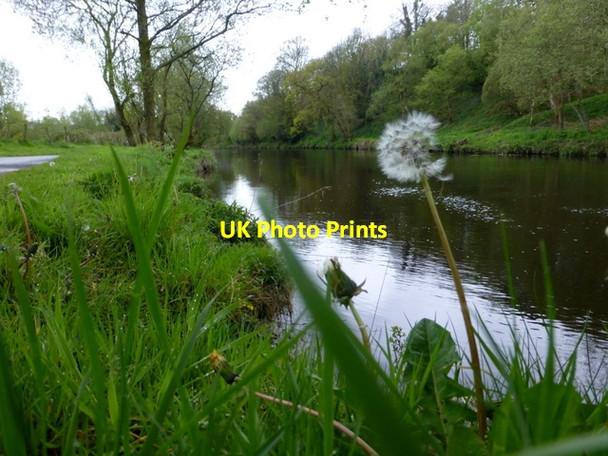 Photo 6"x4" Camowen River at Mullaghmore Omagh c2015