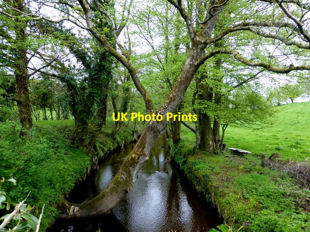 Photo 6"x4" Ballinamullan Burn, Mullaghmore \/ Cranny Omagh c2015