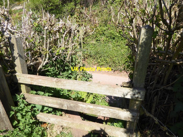 Photo 6"x4" Channel to Channel (471) Higher Vexford c2015