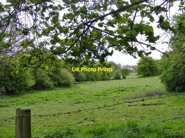 Photo 6"x4" Turls Hill View Sedgley c2015