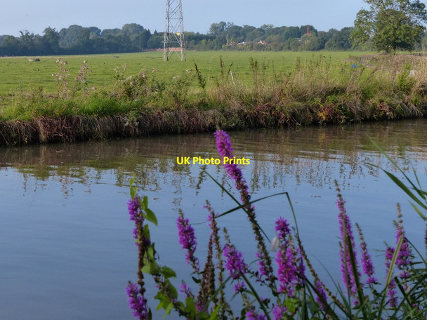 Photo 6"x4" Oxford Canal near Brookfield Farm Ansty\/SP3983 c2014
