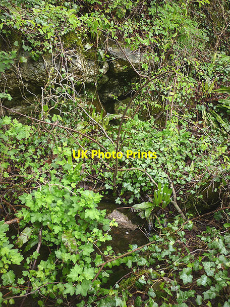 Photo 6"x4" Crystal Well, Crag Foot Crag Foot c2015