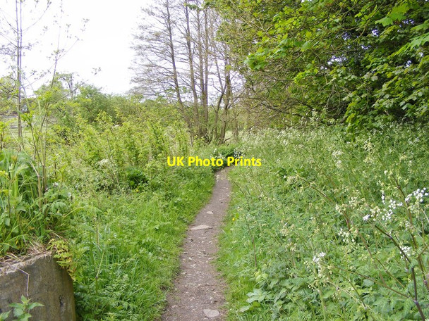 Photo 6"x4" Turls Hill Footpath Sedgley c2015