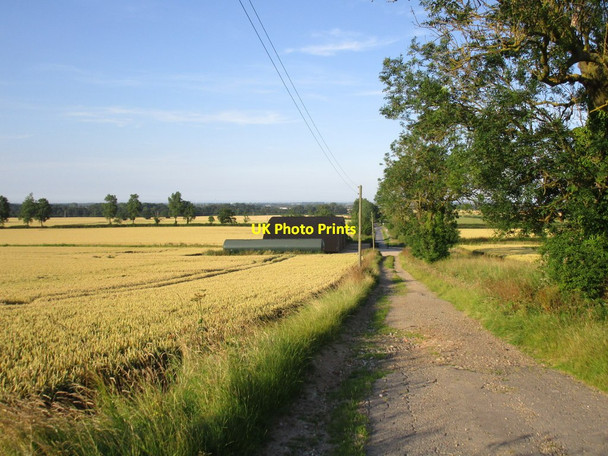 Photo 6"x4" Bridleway to Beesby Farm Grainsby c2014