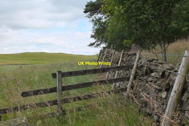 Photo 6"x4" Field corner by Jedderfield Plantation Peebles\/NT2540 c2014