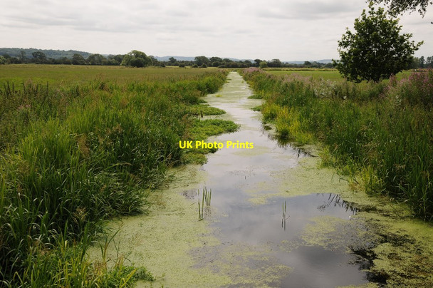 Photo 6"x4" Blackditch Rhyne Kenn Moor Gate c2014