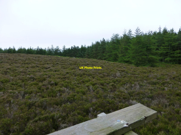 Photo 6"x4" View from a high seat  Healey Cote c2014