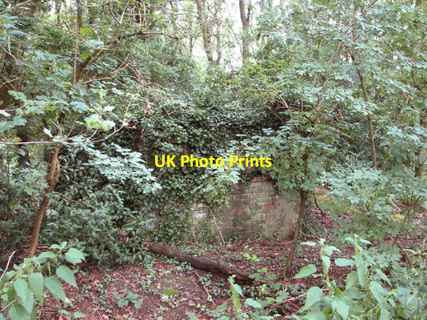 Photo 6"x4" Overgrown pillbox north of Heath Road The Heath\/TG1821 c2014