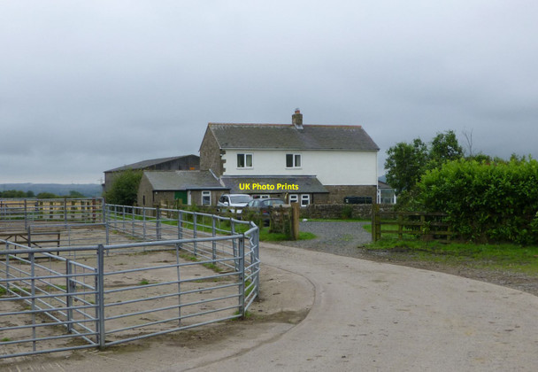 Photo 6"x4" Framhill farm Healey Cote c2014