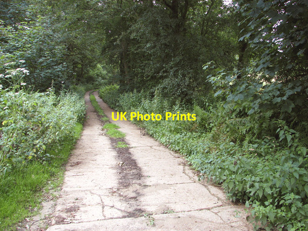 Photo 6"x4" Concrete road in Haveringland Hall Park Grang c2014