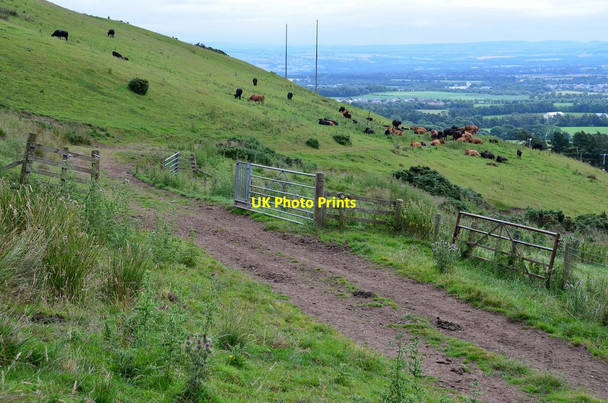 Photo 6"x4" Track up Boghall Glen Boghall\/NT2465 c2014
