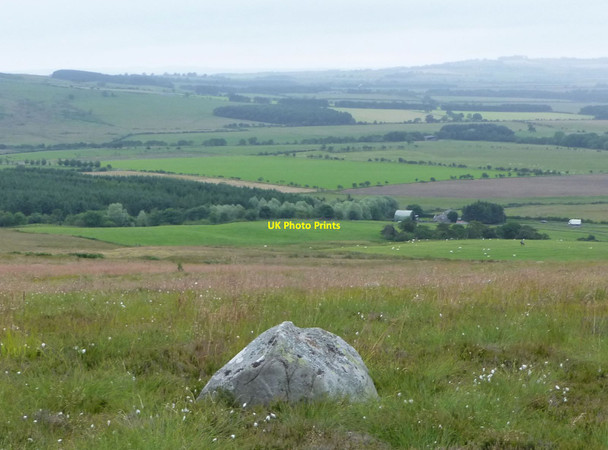 Photo 6"x4" Boulder on Mount Pleasant North End\/NU1301 c2014