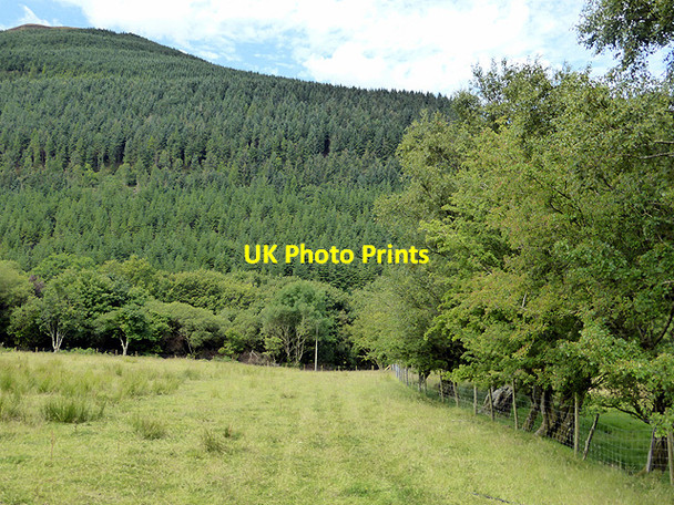 Photo 6"x4" Right of way from Hengwm-cyfeiliog Aberhosan c2014