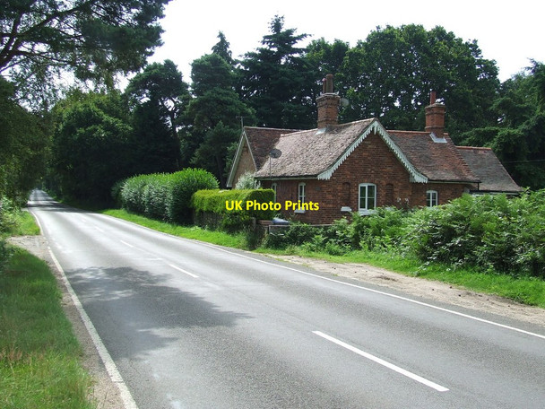 Photo 6"x4" Red Lodge Duck Corner c2014