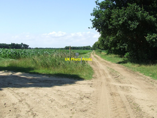 Photo 6"x4" Sandlings Walk Shottisham c2014