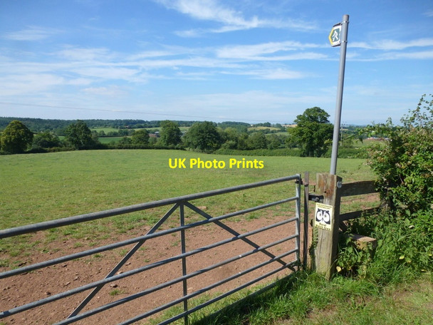 Photo 6"x4" Three Choirs Way Kilcot c2014