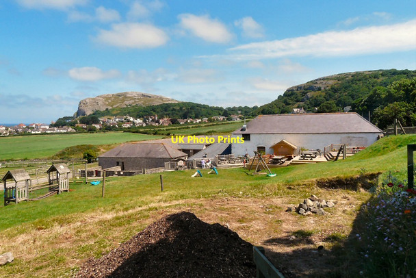Photo 6"x4" Bodafon Farm Park Llandudno c2014 P1