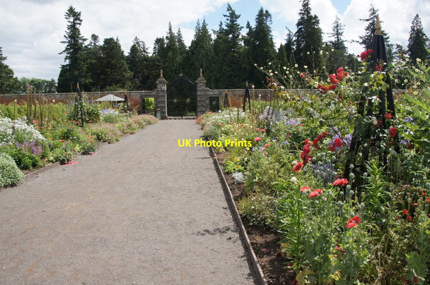 Photo 6"x4" Walled garden at Glamis Castle Bridgend\/NO3747 c2014