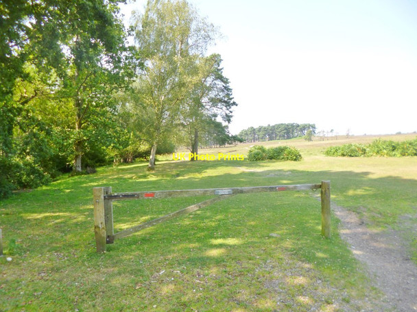 Photo 6"x4" Woodford Bottom, gateway Ogdens c2014