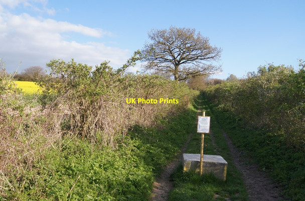 Photo 6"x4" Block on the byway Lynch\/SU5049 c2014